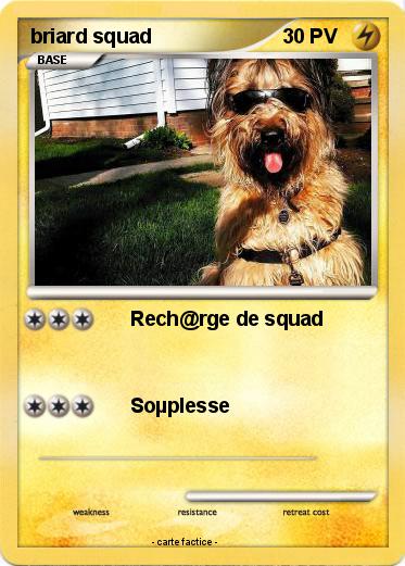 Pokemon briard squad