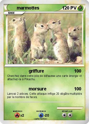Pokemon marmottes