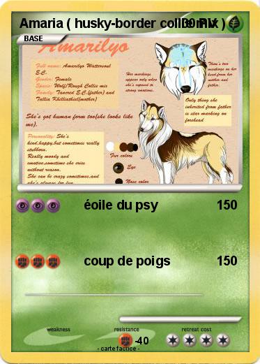 Pokemon Amaria ( husky-border collie mix )