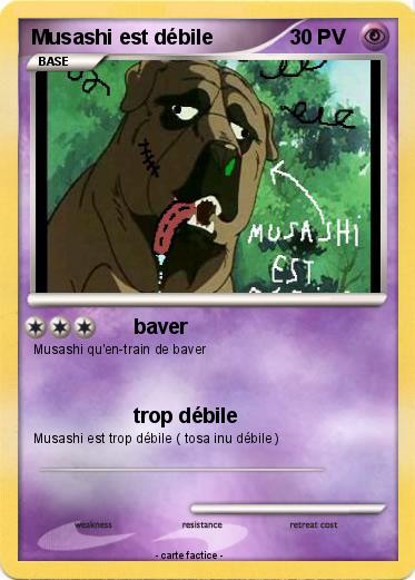 Pokemon Musashi est débile