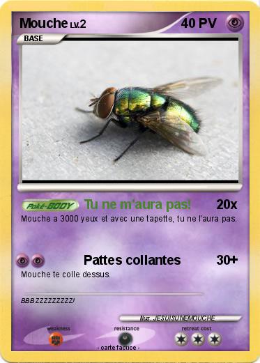 Pokemon Mouche