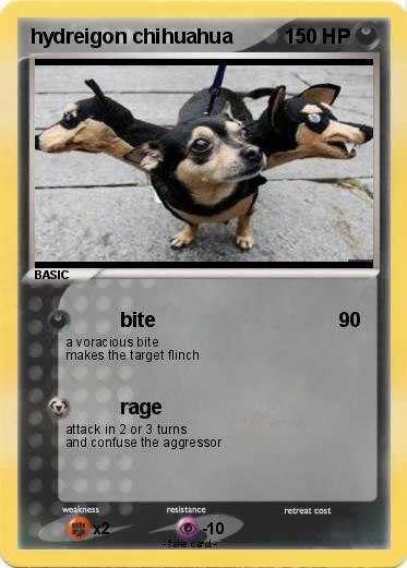 Pokemon hydreigon chihuahua