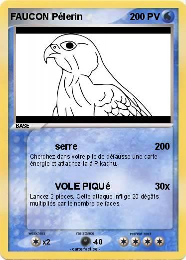 Pokemon FAUCON Pélerin