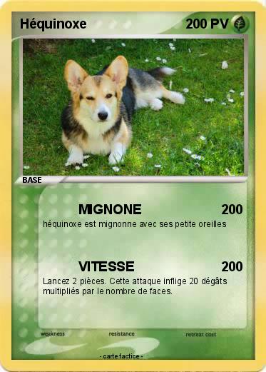 Pokemon Héquinoxe