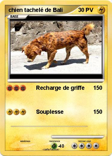 Pokemon chien tachelé de Bali