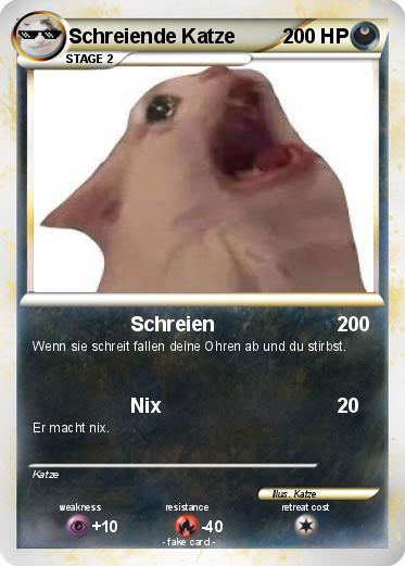 Pokemon Schreiende Katze