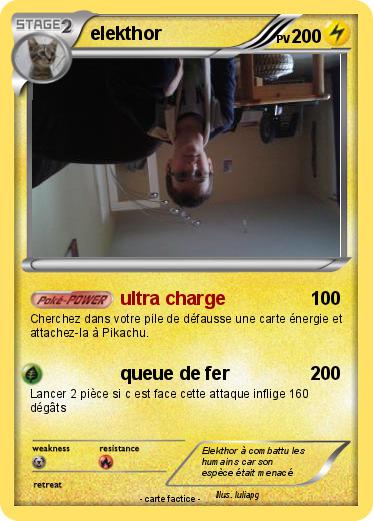 Pokemon elekthor