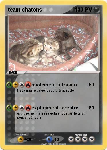 Pokemon team chatons