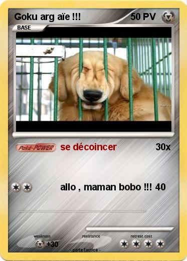 Pokemon Goku arg aïe !!!
