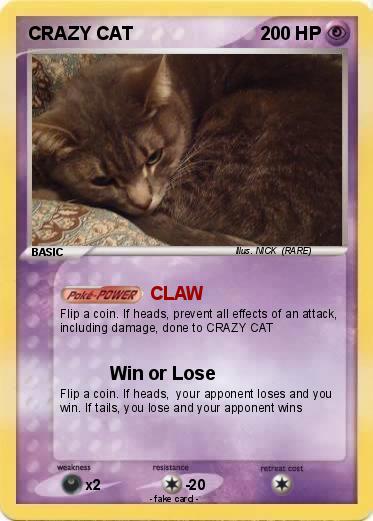 Pokemon CRAZY CAT