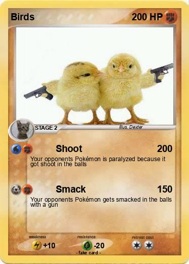 Pokemon Birds