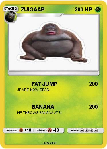 Pokemon ZUIGAAP