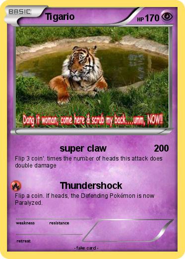 Pokemon Tigario