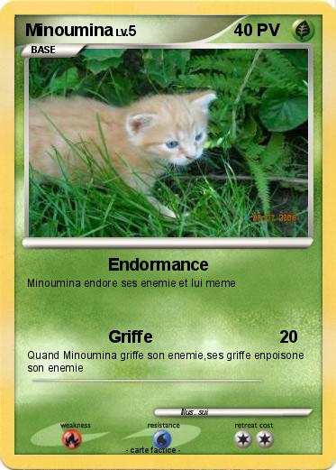 Pokemon Minoumina