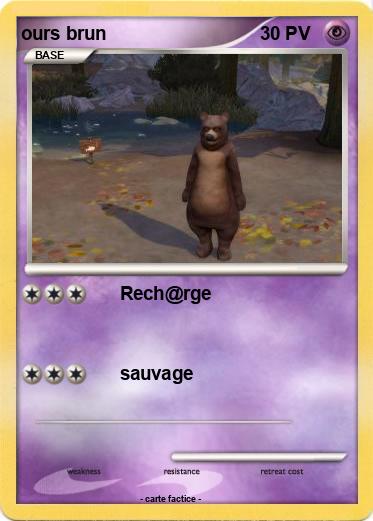 Pokemon ours brun
