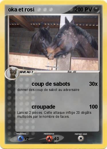 Pokemon oka et rosi