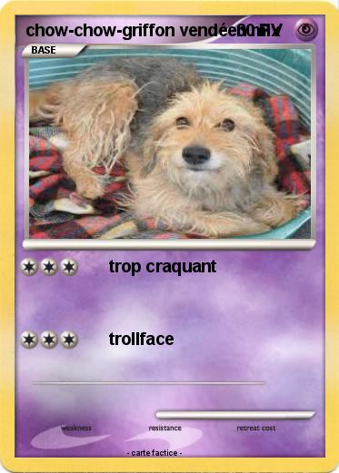 Pokemon chow-chow-griffon vendéen mix