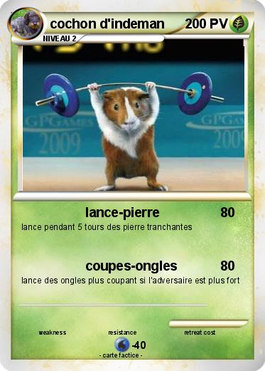 Pokemon cochon d'indeman