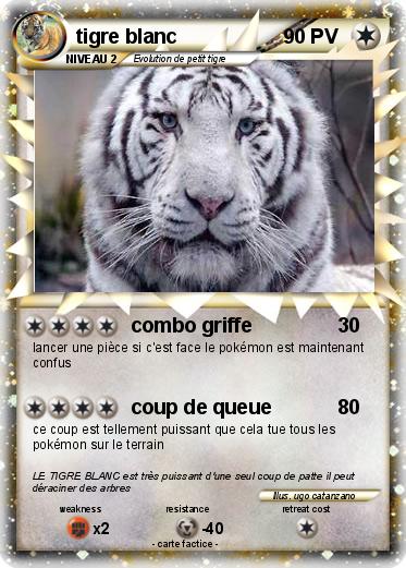 Pokemon tigre blanc
