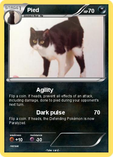 Pokemon Pied