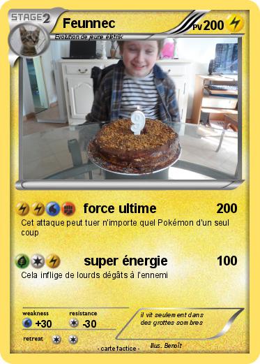 Pokemon Feunnec