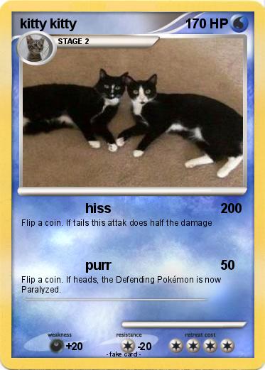 Pokemon kitty kitty