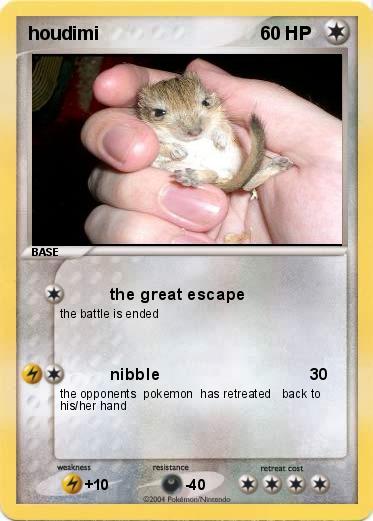 Pokemon houdimi