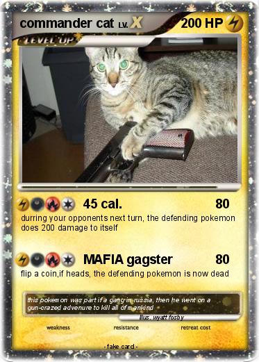 Pokemon commander cat