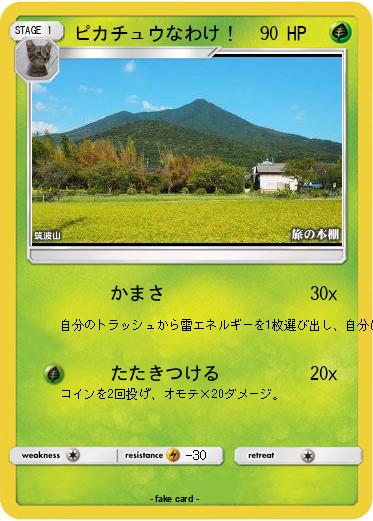 Pokemon ピカチュウなわけ！