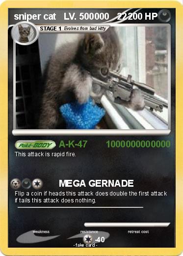Pokemon sniper cat   LV. 500000   22