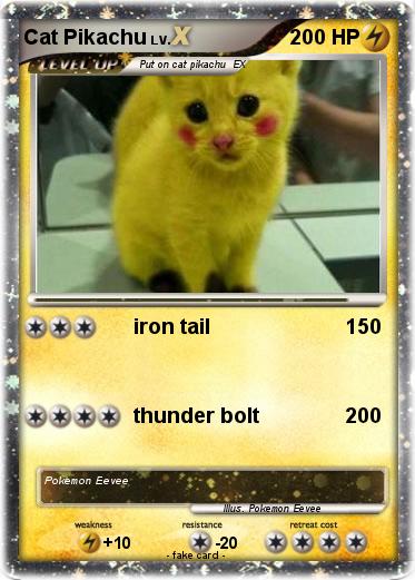 Pokemon Cat Pikachu