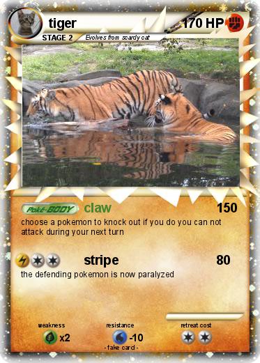 Pokemon tiger