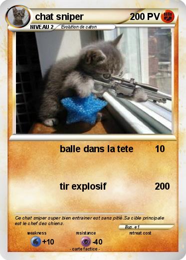 Pokemon chat sniper