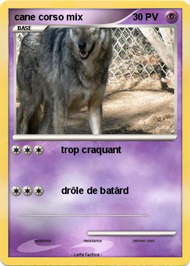 Pokemon cane corso mix