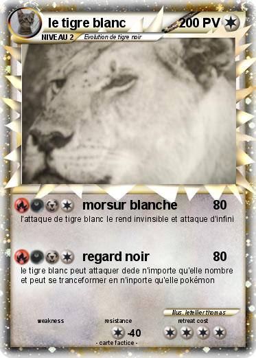 Pokemon le tigre blanc