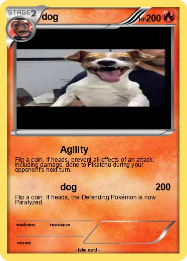 Pokemon dog