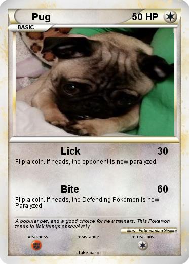 Pokemon Pug