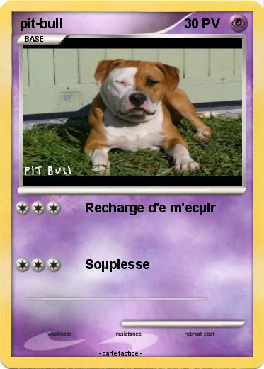 Pokemon pit-bull