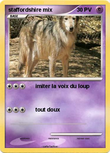 Pokemon staffordshire mix