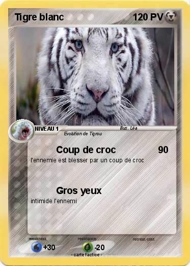 Pokemon Tigre blanc