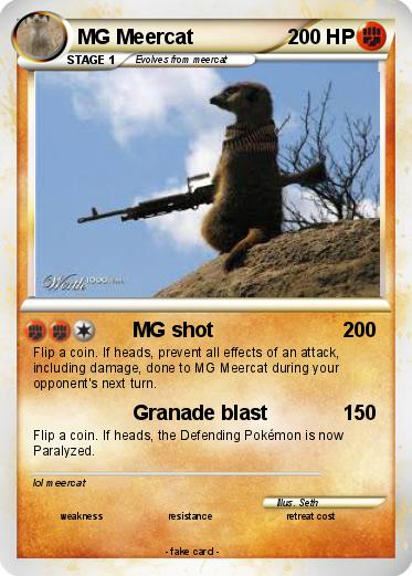 Pokemon MG Meercat