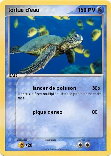 Pokemon tortue d'eau