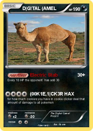 Pokemon D|G!TAL (AMEL