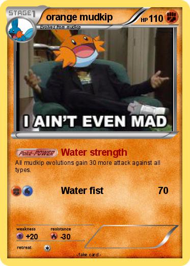 Pokemon orange mudkip