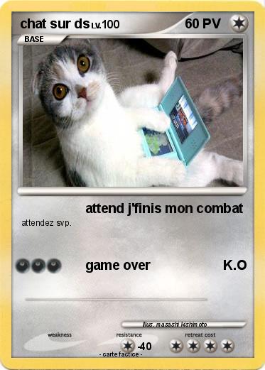 Pokemon chat sur ds