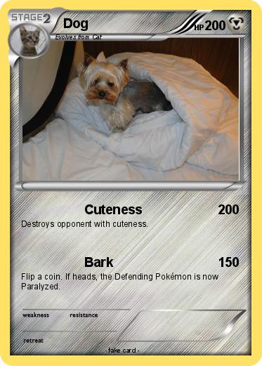 Pokemon Dog