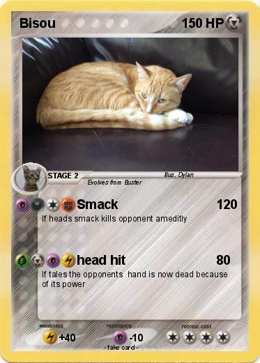 Pokemon Bisou