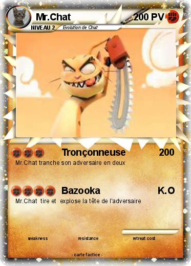 Pokemon Mr.Chat