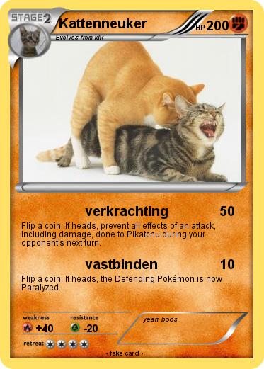 Pokemon Kattenneuker