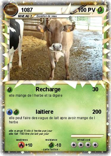 Pokemon 1087